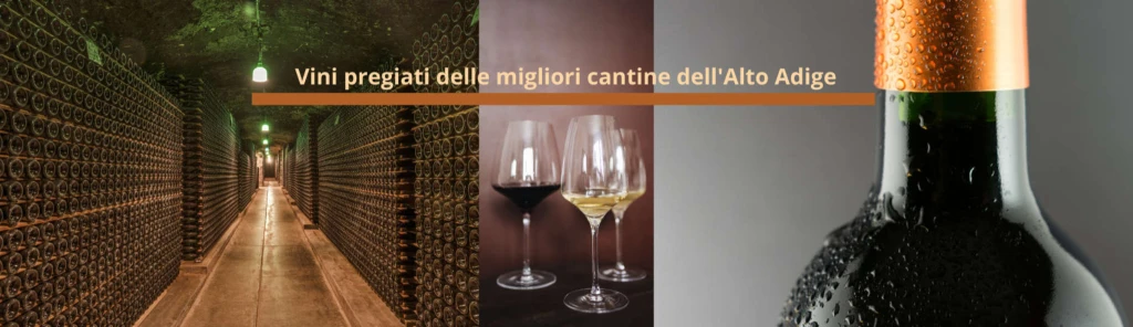 Vini pregiati delle migliori cantine dell'Alto Adige