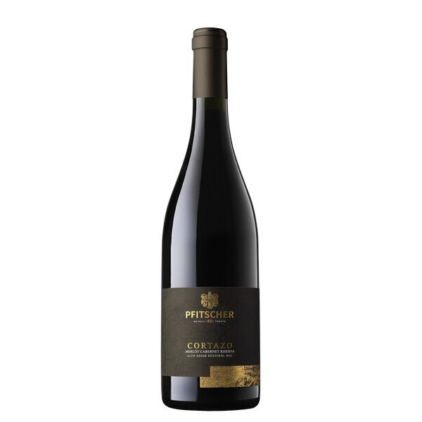 Pfitscher Cortazo 2023