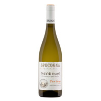 Vignaioli Specogna Pinot Grigio Colli Orientali 2024